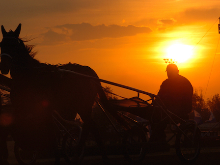 Silhouette of a carriage ride at Preserve Resort & Spa against a vibrant sunset backdrop, offering an enchanting evening excursion.