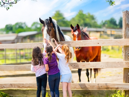 Children petting horses at Preserve Resort & Spa's custom equestrian experience.