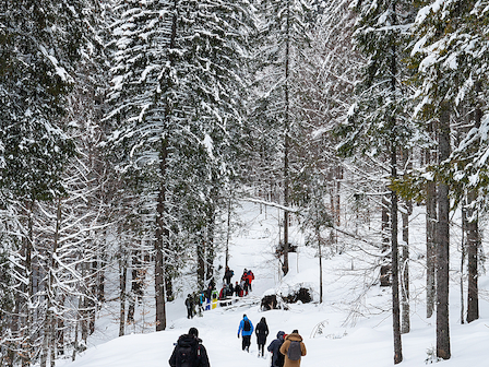 A group of trekkers journey through a snow-covered trail at Preserve Resort & Spa, surrounded by the stillness of a winter forest.