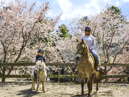 Children experience pony rides at The Preserve Resort & Spa with a beautiful blossom backdrop, embracing the joys of nature.